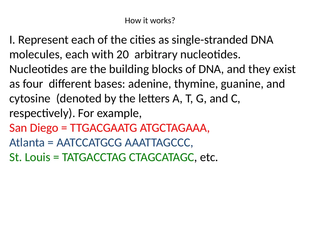 Nucleic Acid Structure Many thanks to Dave Bevan - slide 8 of 11