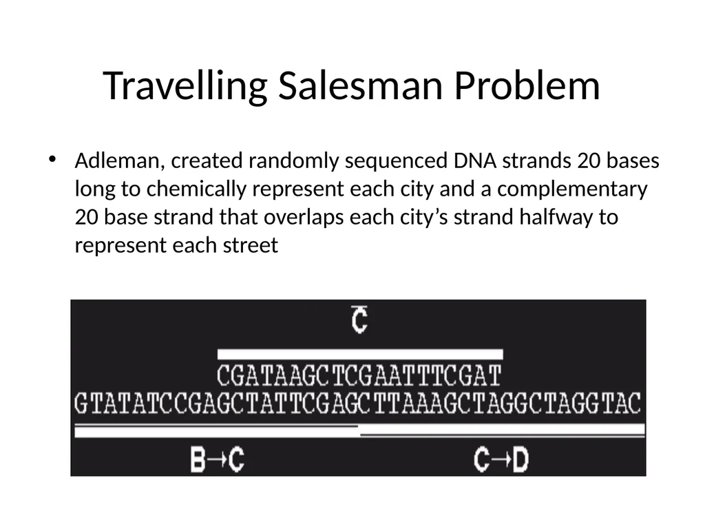 Nucleic Acid Structure Many thanks to Dave Bevan - slide 7 of 11