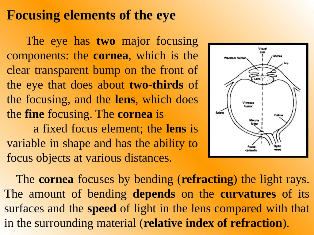 Part One: - Physics of Eyes and Vision Most of - slide 7 of 30