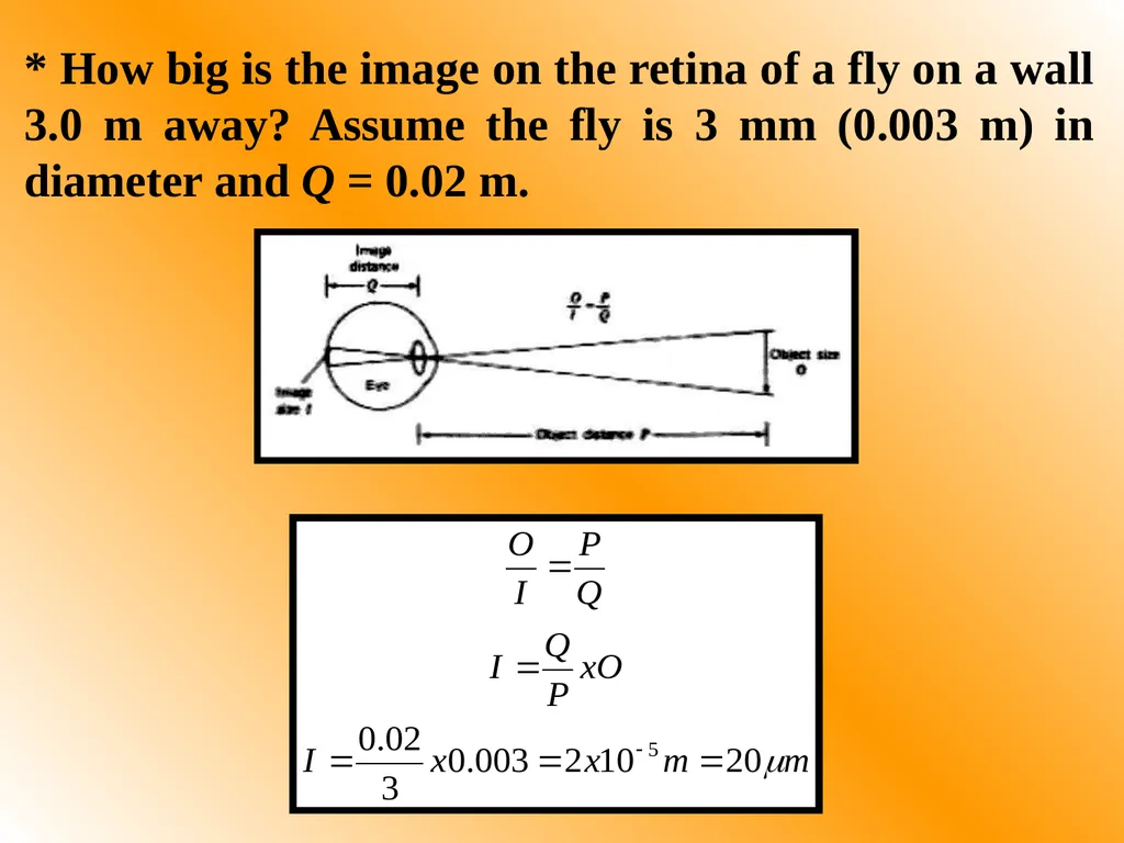 Part One: - Physics of Eyes and Vision Most of - slide 15 of 30