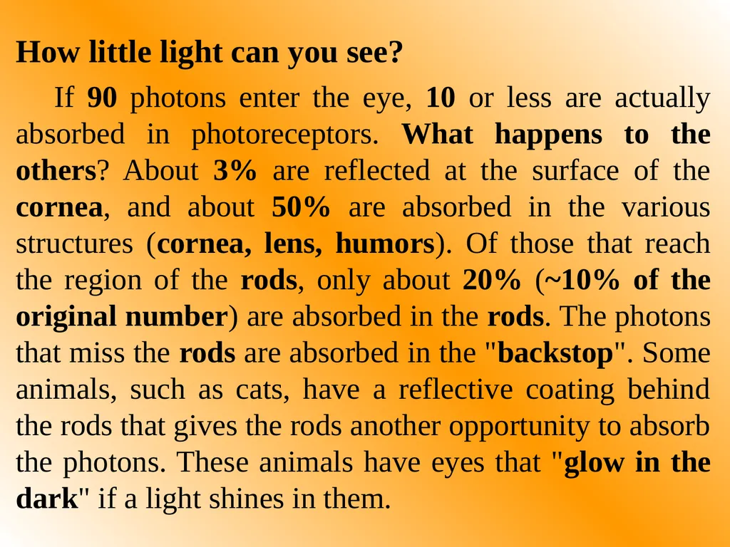 Part One: - Physics of Eyes and Vision Most of - slide 20 of 30