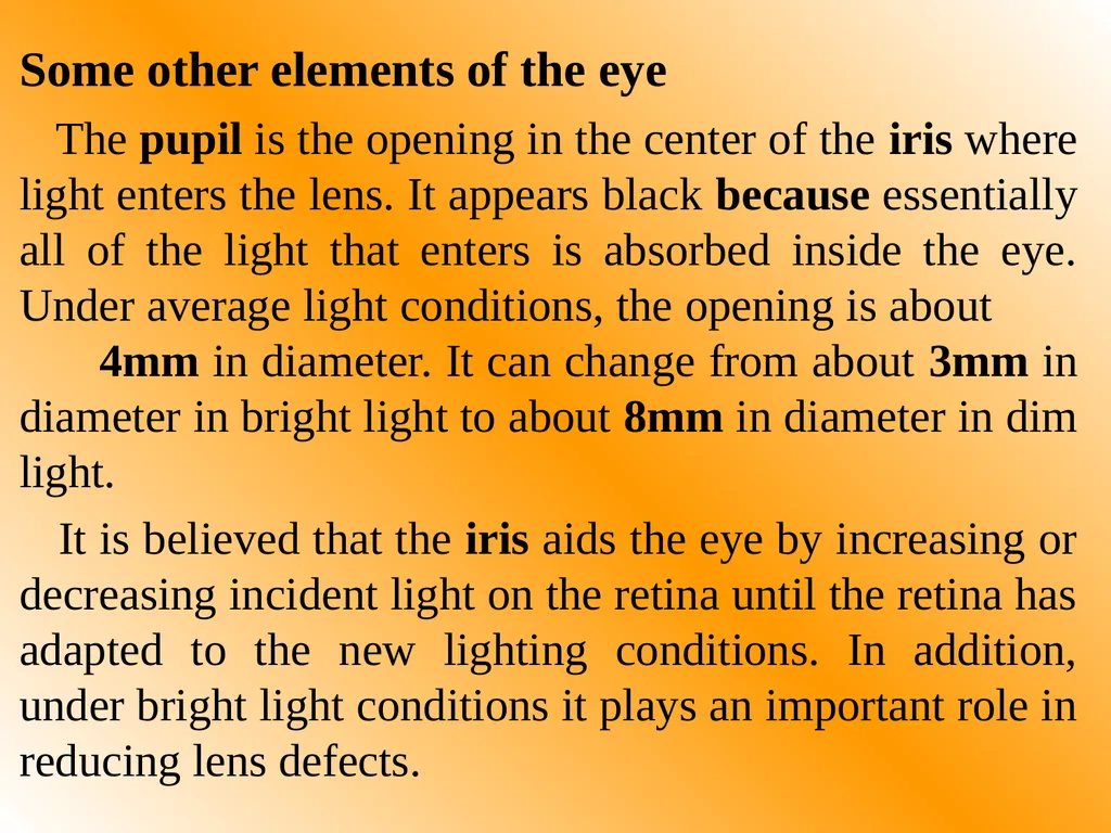 Part One: - Physics of Eyes and Vision Most of - slide 10 of 30