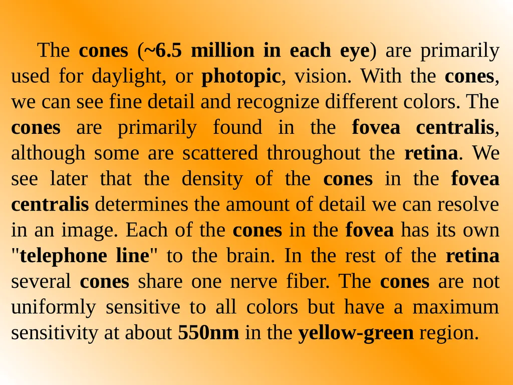 Part One: - Physics of Eyes and Vision Most of - slide 17 of 30