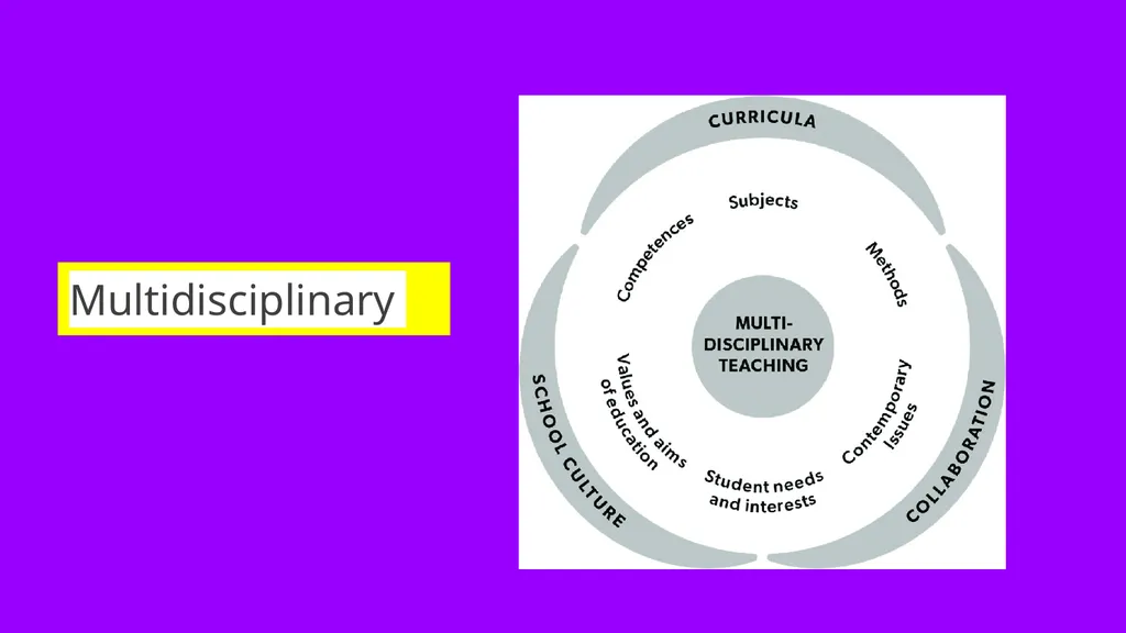 Towards a more Holistic and Multidisciplinary - slide 3 of 14