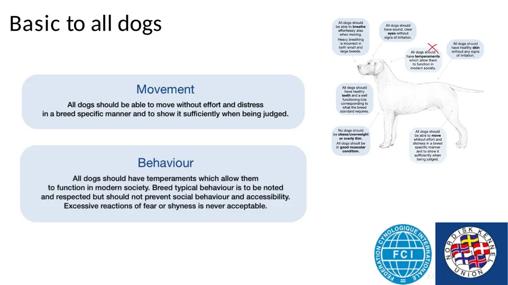 Breed Specific Instructions BSI Regarding - slide 10 of 25