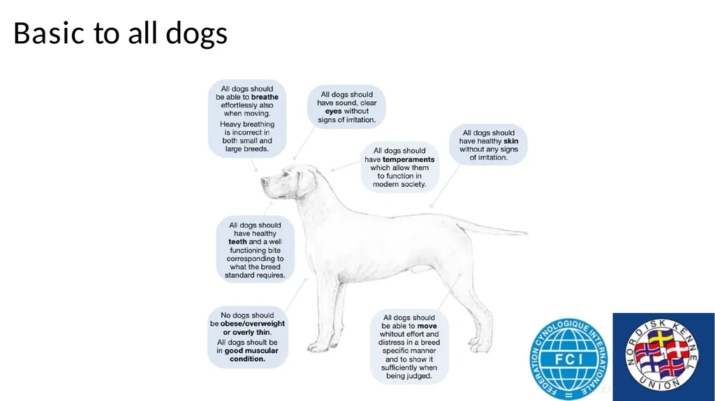Breed Specific Instructions BSI Regarding - slide 3 of 25