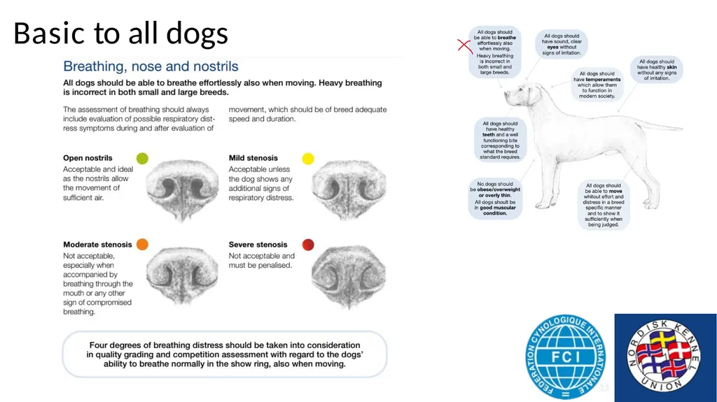 Breed Specific Instructions BSI Regarding - slide 4 of 25