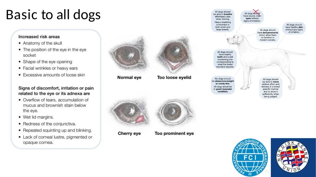Breed Specific Instructions BSI Regarding - slide 5 of 25