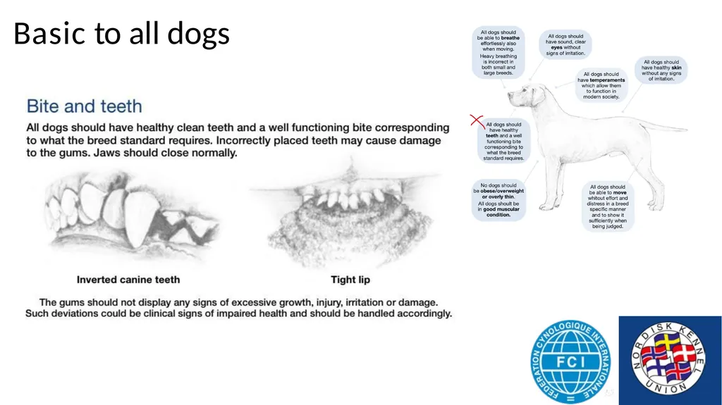 Breed Specific Instructions BSI Regarding - slide 6 of 25