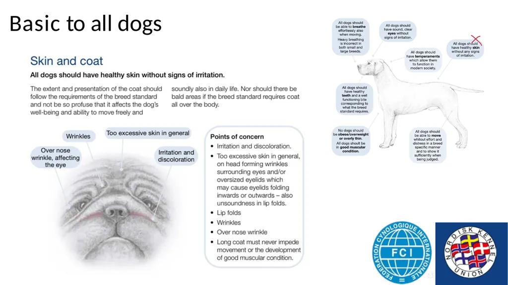 Breed Specific Instructions BSI Regarding - slide 7 of 25