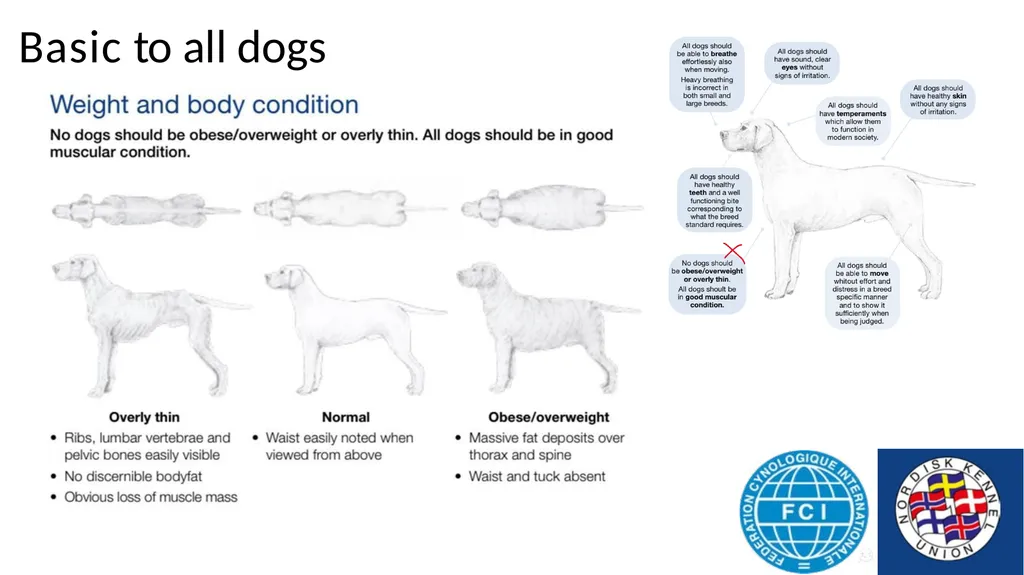 Breed Specific Instructions BSI Regarding - slide 8 of 25