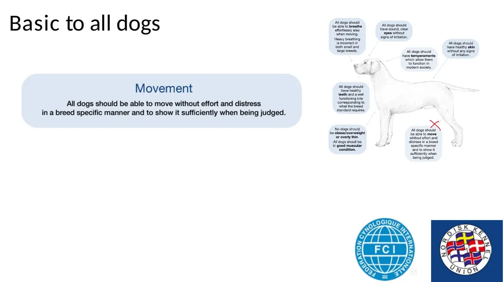 Breed Specific Instructions BSI Regarding - slide 9 of 25