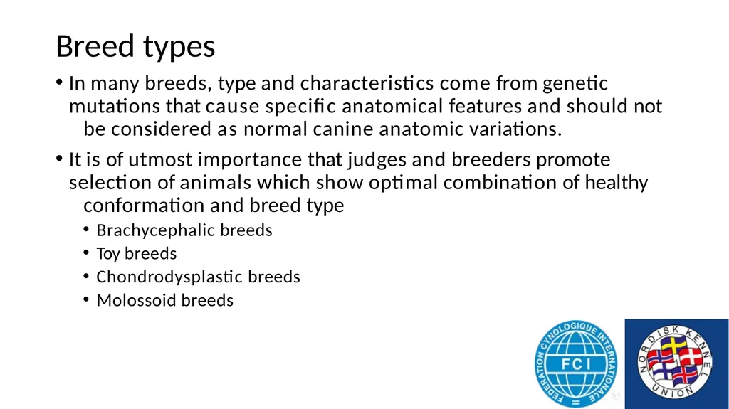 Breed Specific Instructions BSI Regarding - slide 11 of 25