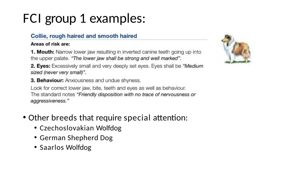 Breed Specific Instructions BSI Regarding - slide 13 of 25