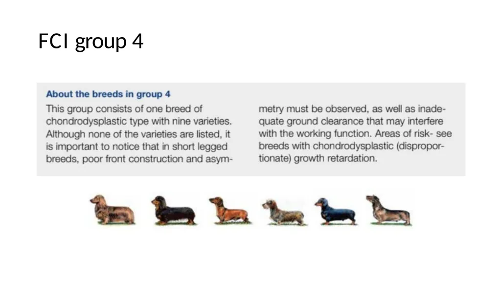 Breed Specific Instructions BSI Regarding - slide 17 of 25