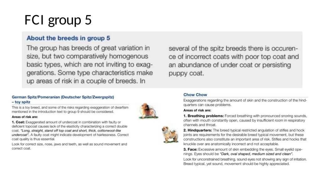 Breed Specific Instructions BSI Regarding - slide 18 of 25