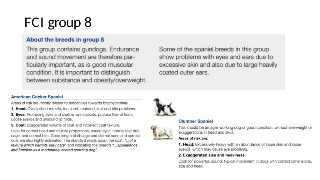 Breed Specific Instructions BSI Regarding - slide 21 of 25