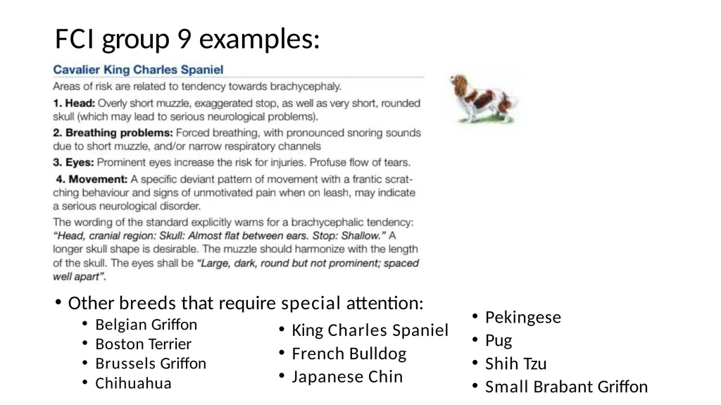 Breed Specific Instructions BSI Regarding - slide 23 of 25