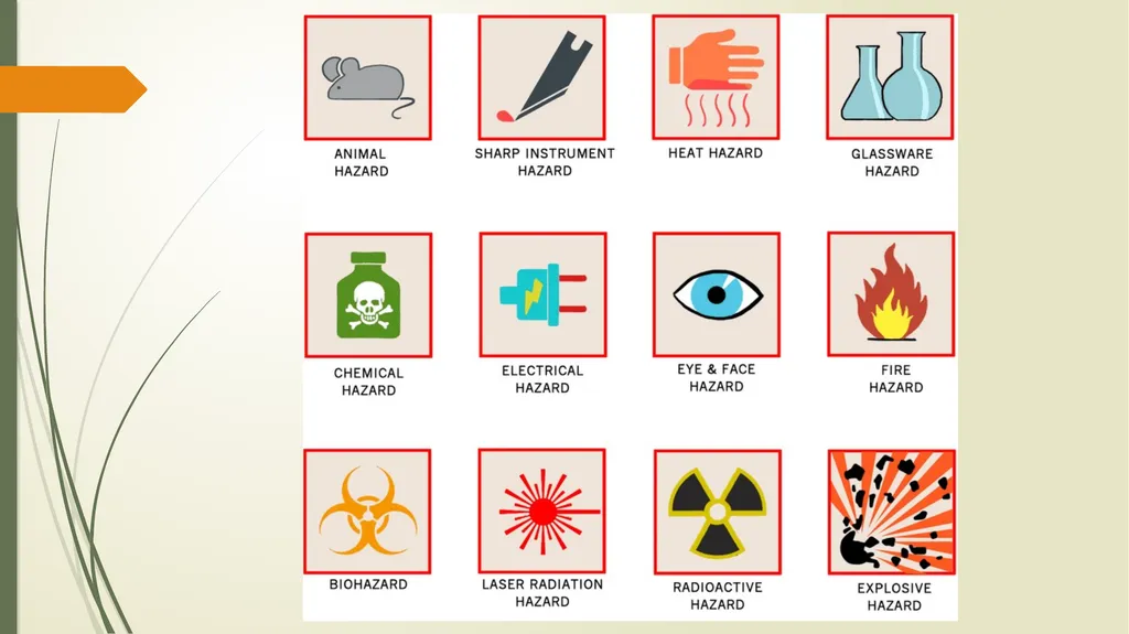 laboratory safety rules for physiology laboratory - slide 5 of 14