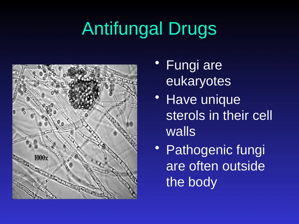 Application of Antibiotics Discs Assisst.Prof. - slide 22 of 33