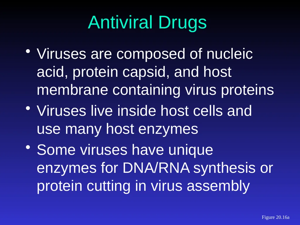Application of Antibiotics Discs Assisst.Prof. - slide 23 of 33