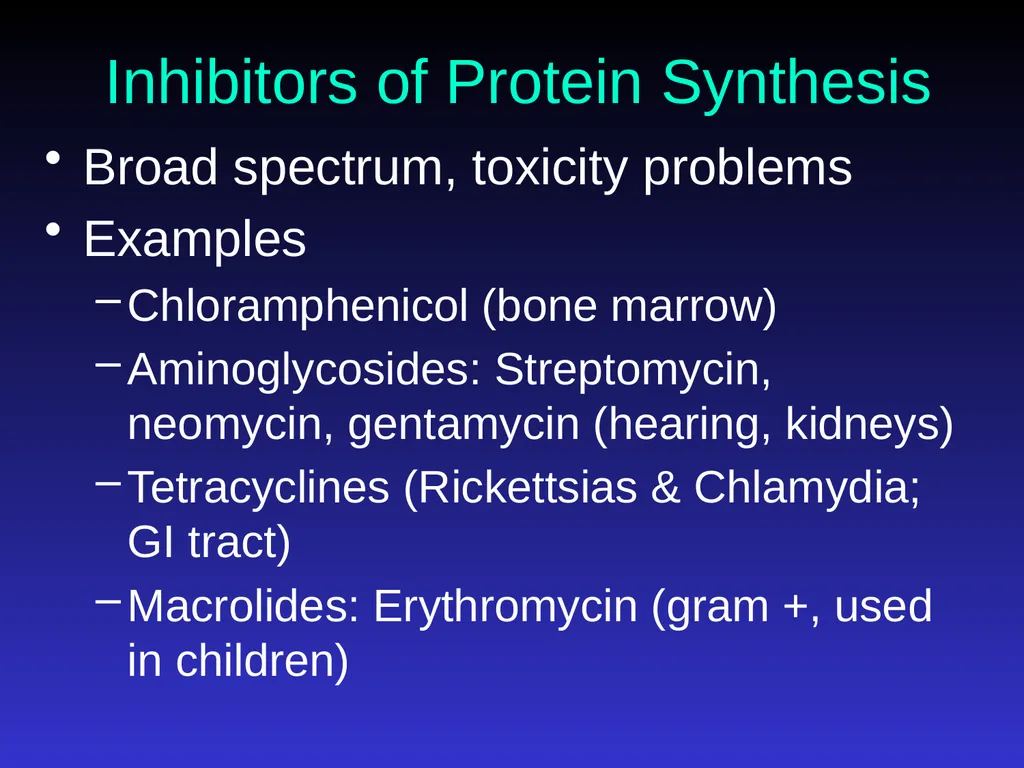 Application of Antibiotics Discs Assisst.Prof. - slide 19 of 33