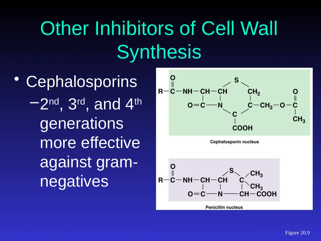 Application of Antibiotics Discs Assisst.Prof. - slide 16 of 33