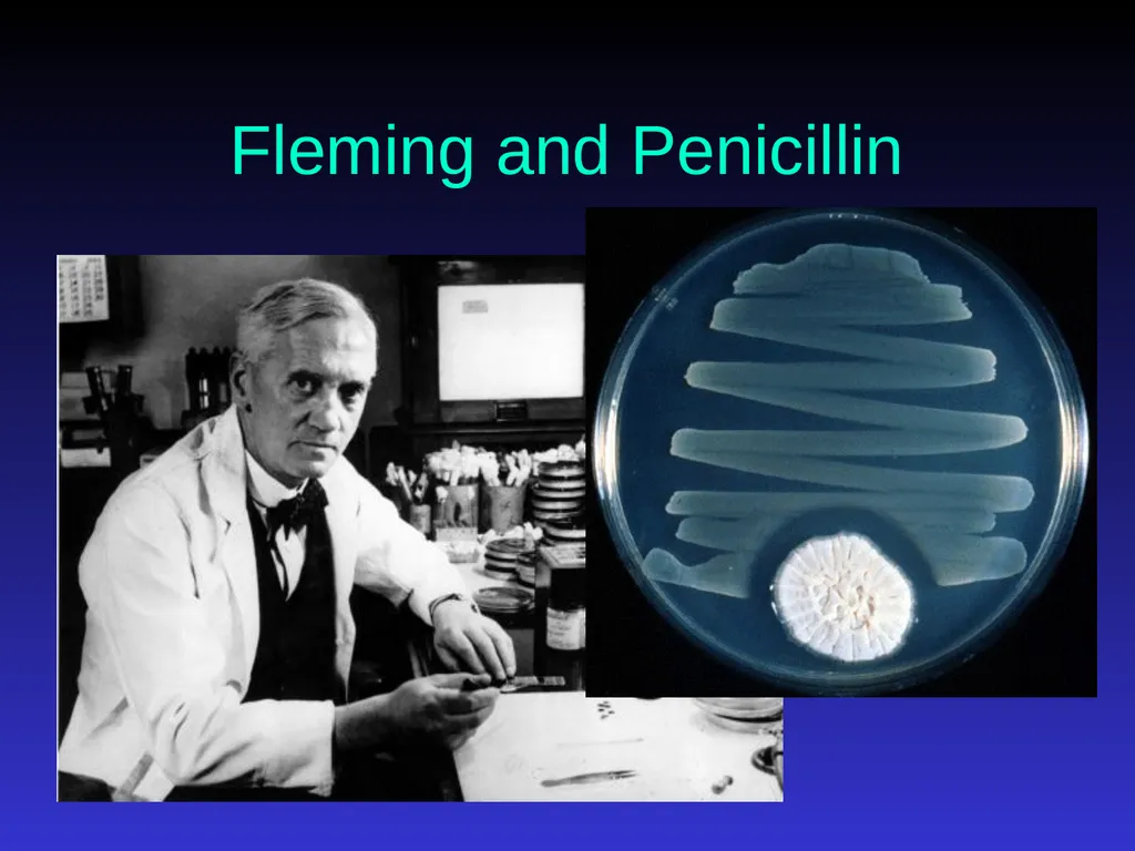 Application of Antibiotics Discs Assisst.Prof. - slide 3 of 33