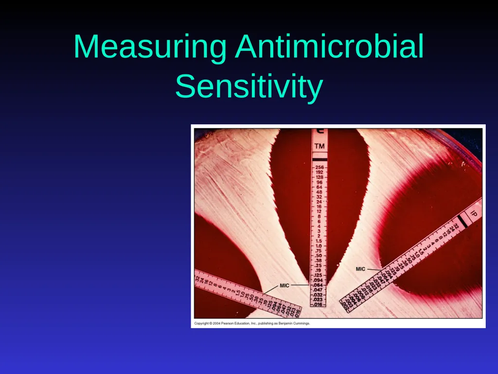 Application of Antibiotics Discs Assisst.Prof. - slide 25 of 33