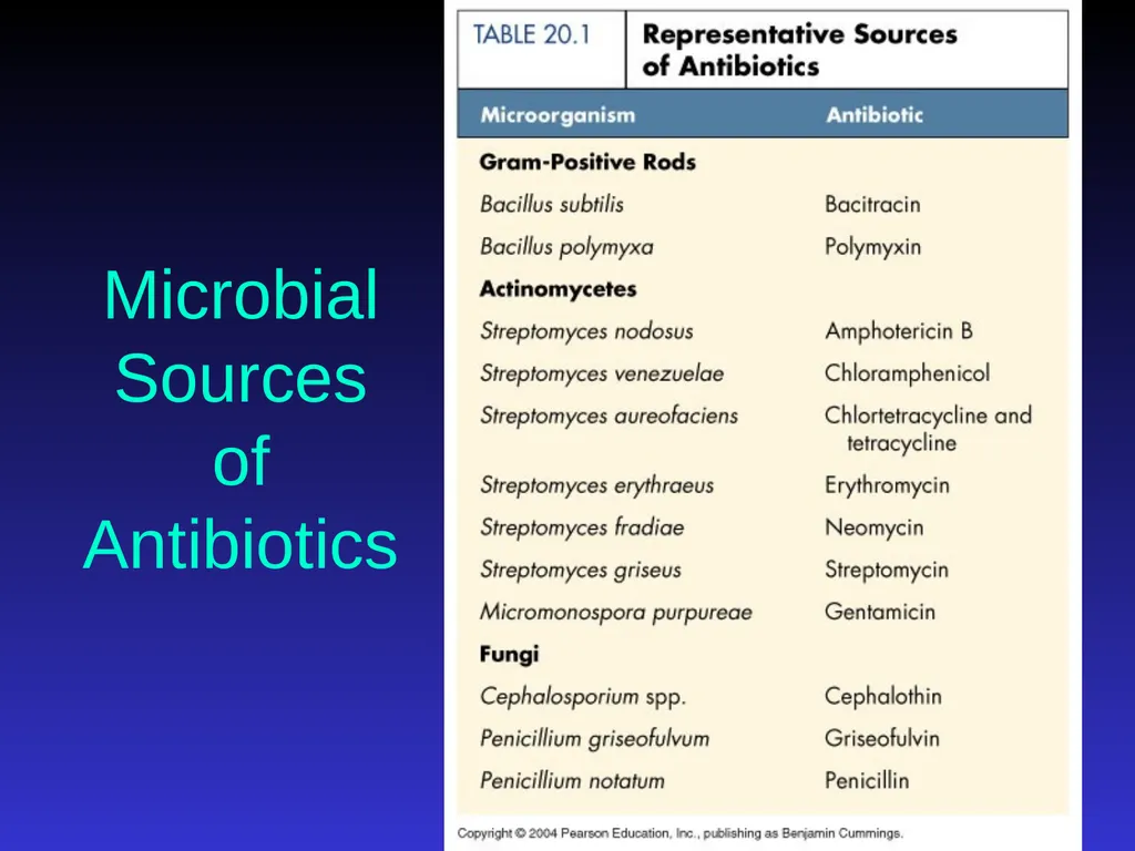 Application of Antibiotics Discs Assisst.Prof. - slide 9 of 33
