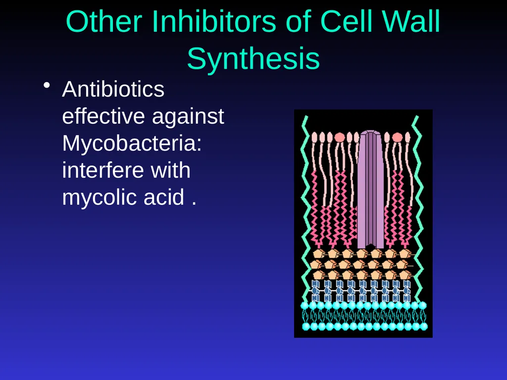 Application of Antibiotics Discs Assisst.Prof. - slide 18 of 33