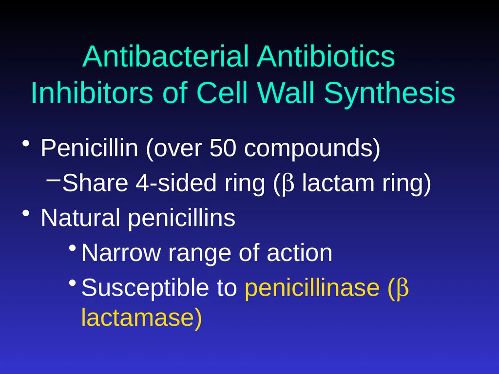 Application of Antibiotics Discs Assisst.Prof. - slide 13 of 33