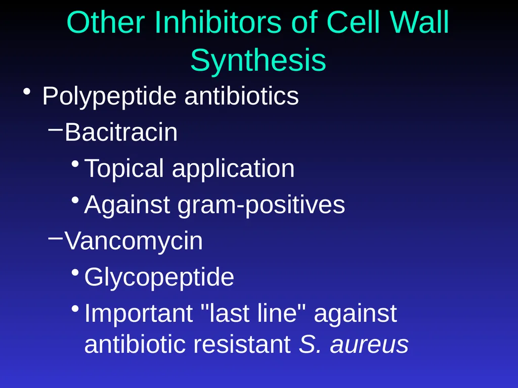 Application of Antibiotics Discs Assisst.Prof. - slide 17 of 33