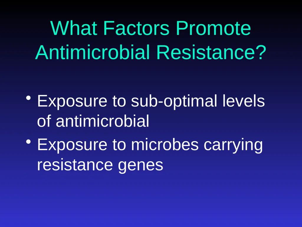 Application of Antibiotics Discs Assisst.Prof. - slide 29 of 33