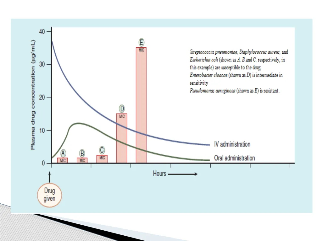 Principles of Antimicrobial Therapy The - slide 11 of 30