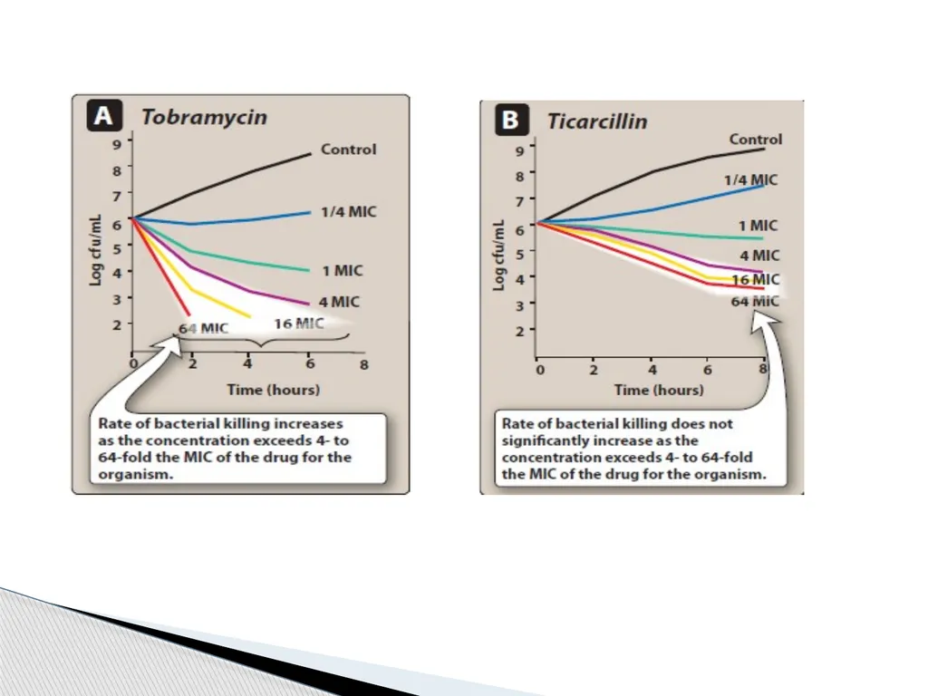 Principles of Antimicrobial Therapy The - slide 13 of 30