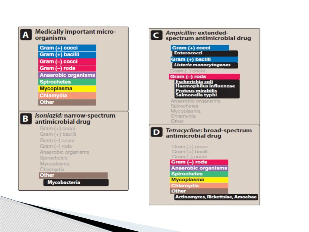 Principles of Antimicrobial Therapy The - slide 9 of 30