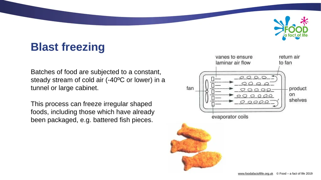 Freezing and dehydration Freezing There are - slide 5 of 18