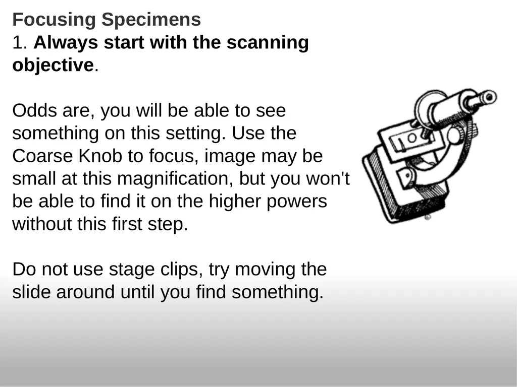 Introduction to the Microscope Types of - slide 13 of 23