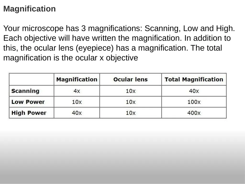 Introduction to the Microscope Types of - slide 11 of 23