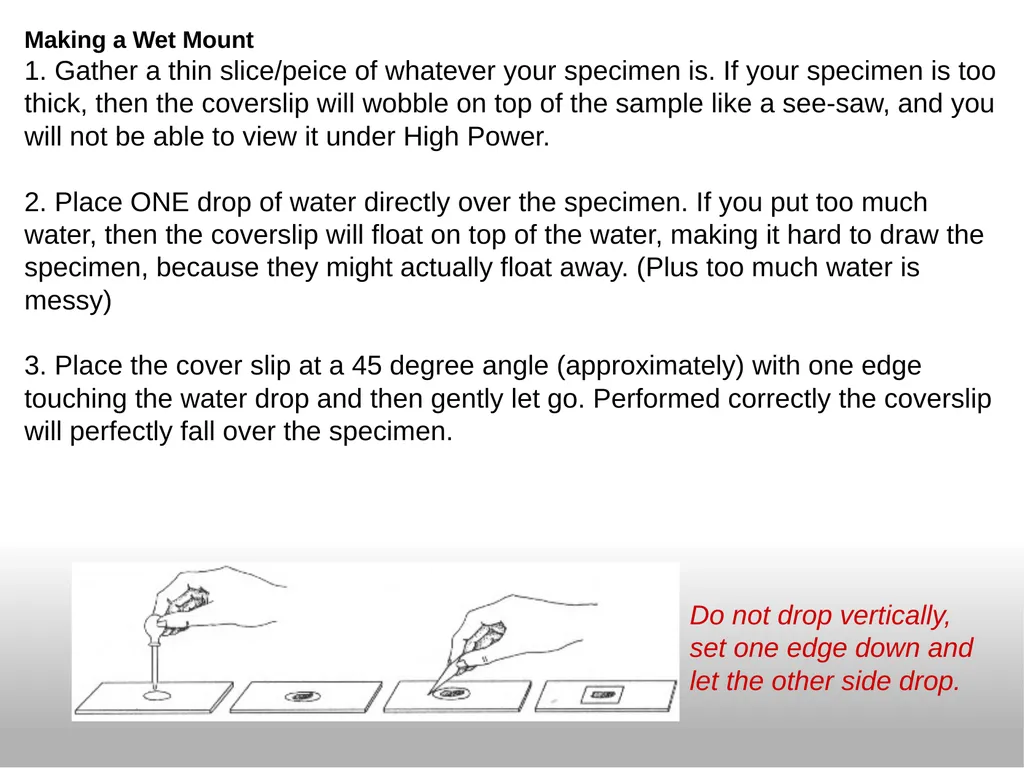 Introduction to the Microscope Types of - slide 17 of 23