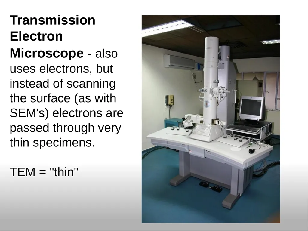 Introduction to the Microscope Types of - slide 5 of 23