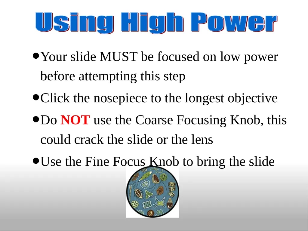 Introduction to the Microscope Types of - slide 15 of 23