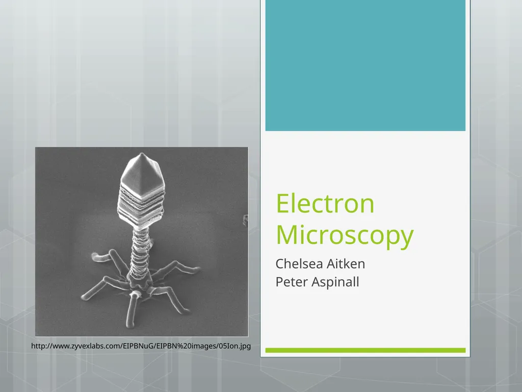 Electron Microscopy Chelsea Aitken Peter Aspinall - slide 1 of 17