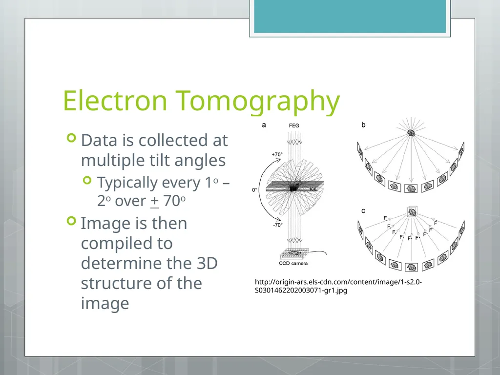 Electron Microscopy Chelsea Aitken Peter Aspinall - slide 15 of 17