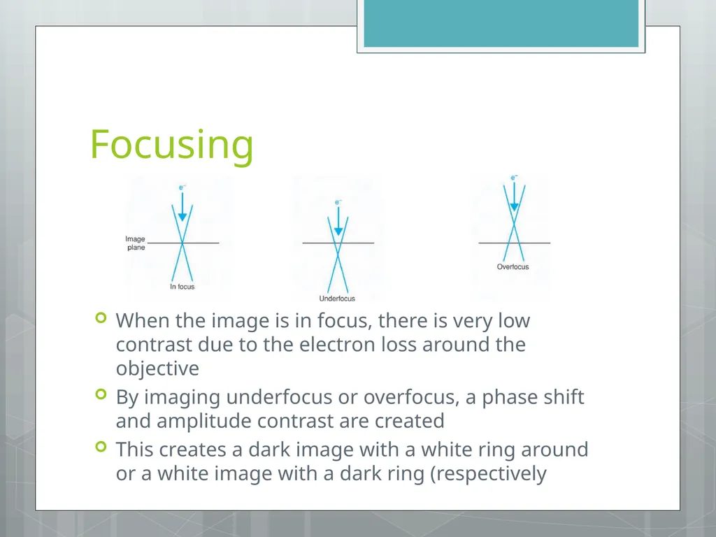 Electron Microscopy Chelsea Aitken Peter Aspinall - slide 9 of 17