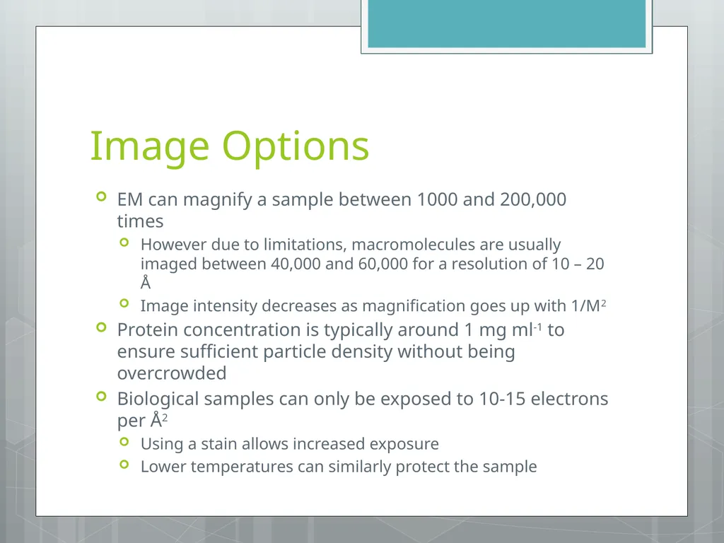 Electron Microscopy Chelsea Aitken Peter Aspinall - slide 12 of 17