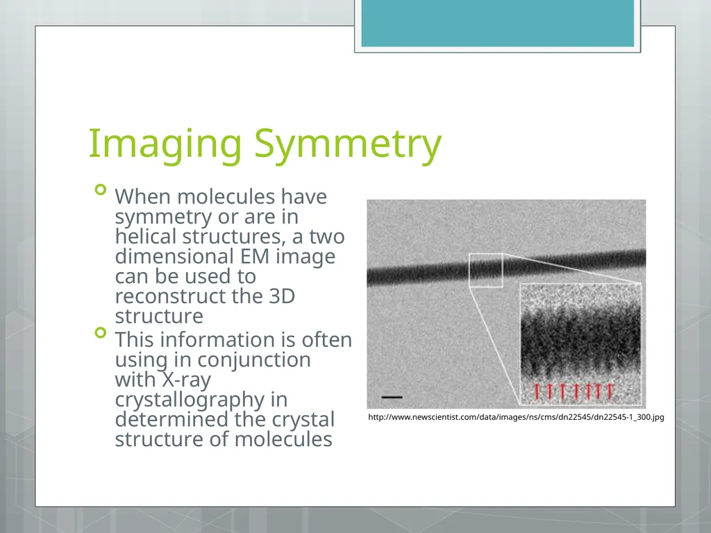 Electron Microscopy Chelsea Aitken Peter Aspinall - slide 14 of 17