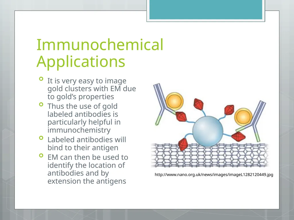Electron Microscopy Chelsea Aitken Peter Aspinall - slide 16 of 17