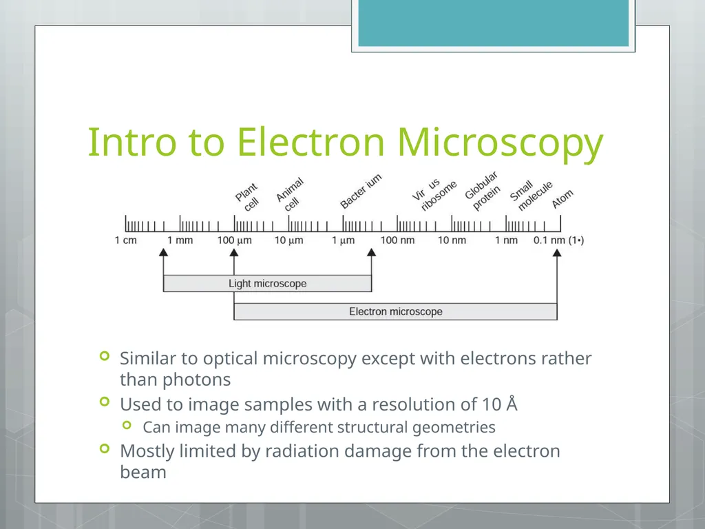 Electron Microscopy Chelsea Aitken Peter Aspinall - slide 2 of 17